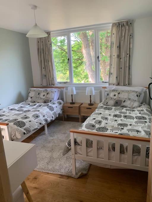 With Outstanding Views Apartment Velindre (Powys)